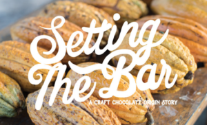 setting-the-bar